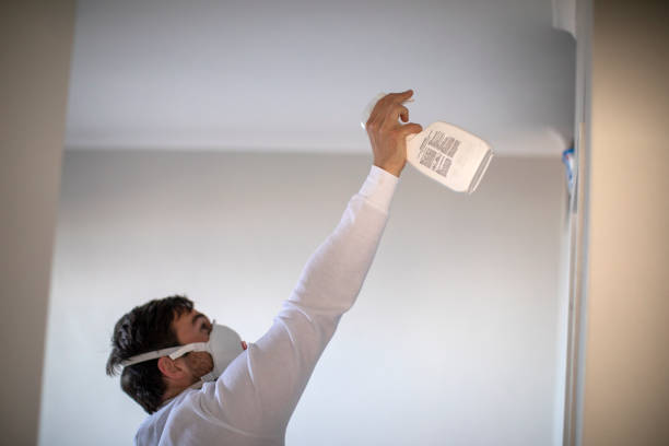 Best Mold Testing  in Oblong, IL